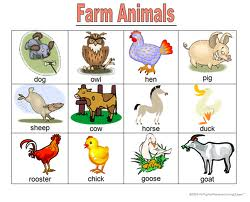 animal farm study answers chapter 7 zip